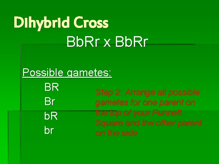 Dihybrid Cross Bb. Rr x Bb. Rr Possible gametes: BR Step 2: Arrange all Dihybrid Cross Bb. Rr x Bb. Rr Possible gametes: BR Step 2: Arrange all
