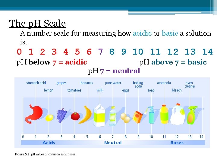 The p. H Scale A number scale for measuring how acidic or basic a