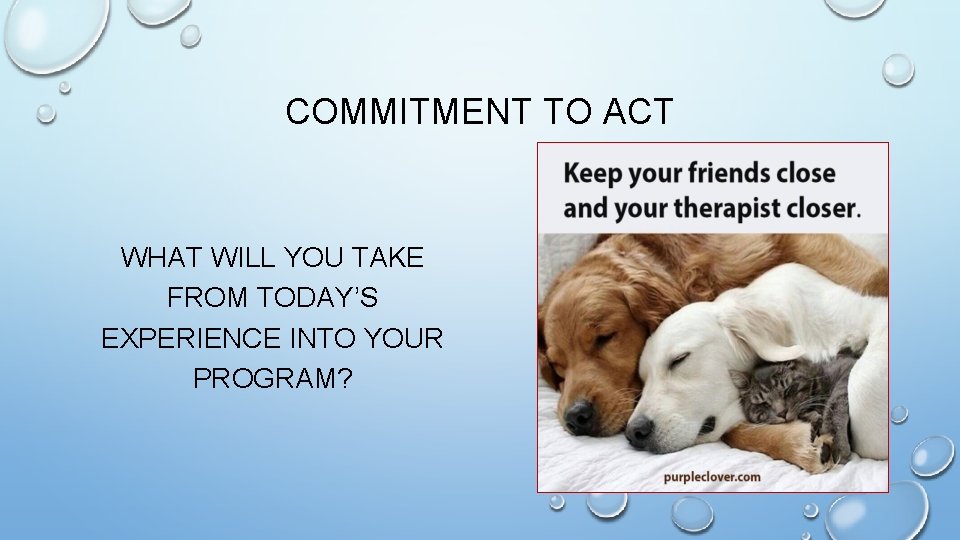 COMMITMENT TO ACT WHAT WILL YOU TAKE FROM TODAY’S EXPERIENCE INTO YOUR PROGRAM? 