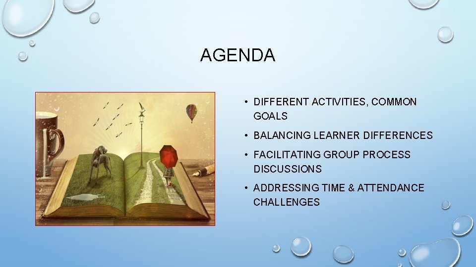 AGENDA • DIFFERENT ACTIVITIES, COMMON GOALS • BALANCING LEARNER DIFFERENCES • FACILITATING GROUP PROCESS
