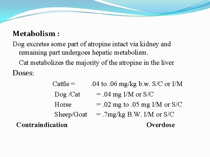 Metabolism : Dog excretes some part of atropine intact via kidney and remaining part