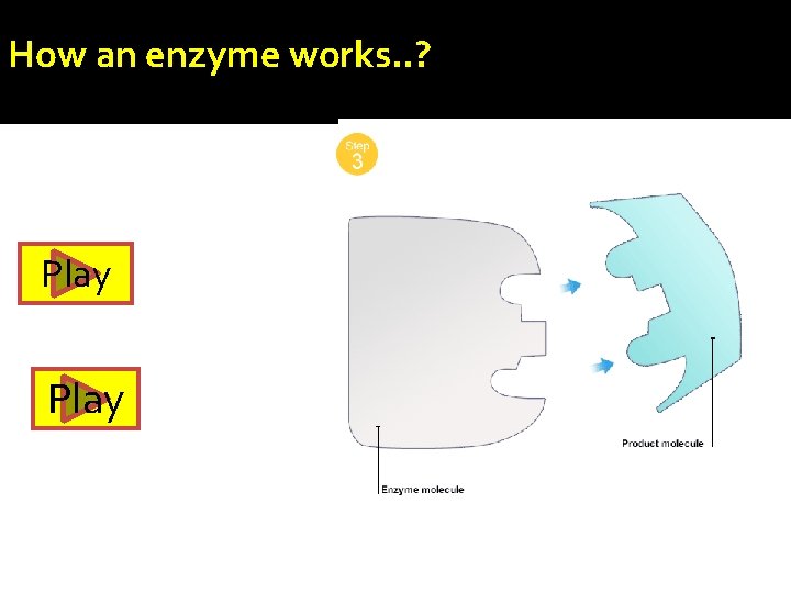 How an enzyme works. . ? Play 