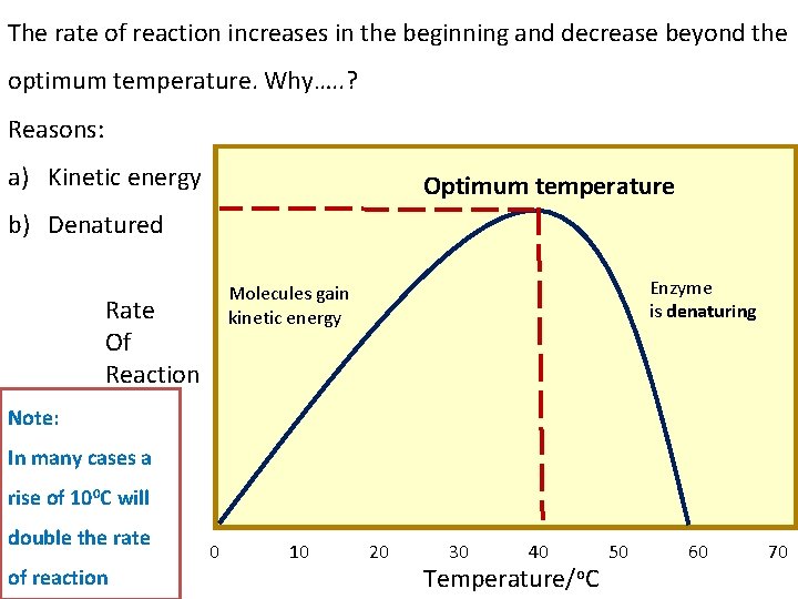 The rate of reaction increases in the beginning and decrease beyond the optimum temperature.