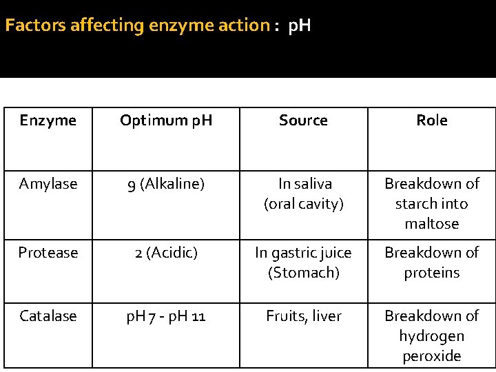 Factors affecting enzyme action : p. H Examples: Enzyme Optimum p. H Source Role