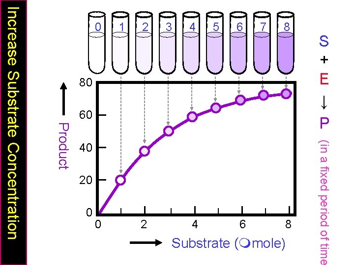 60 20 0 0 2 4 6 8 Substrate (mmole) (in a fixed period