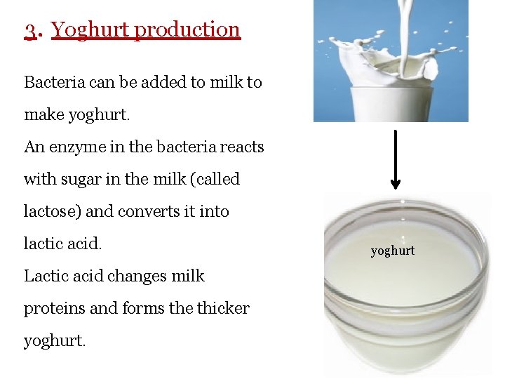 3. Yoghurt production Bacteria can be added to milk to make yoghurt. An enzyme