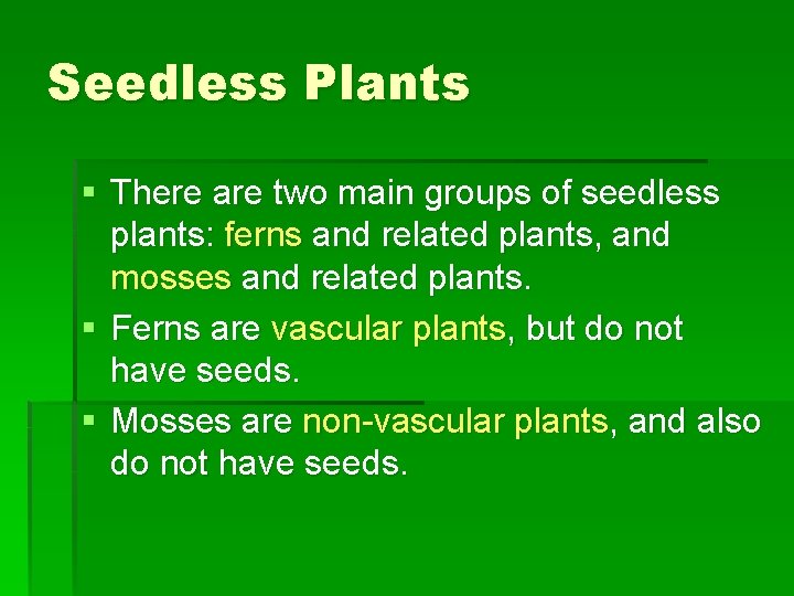 Seedless Plants § There are two main groups of seedless plants: ferns and related