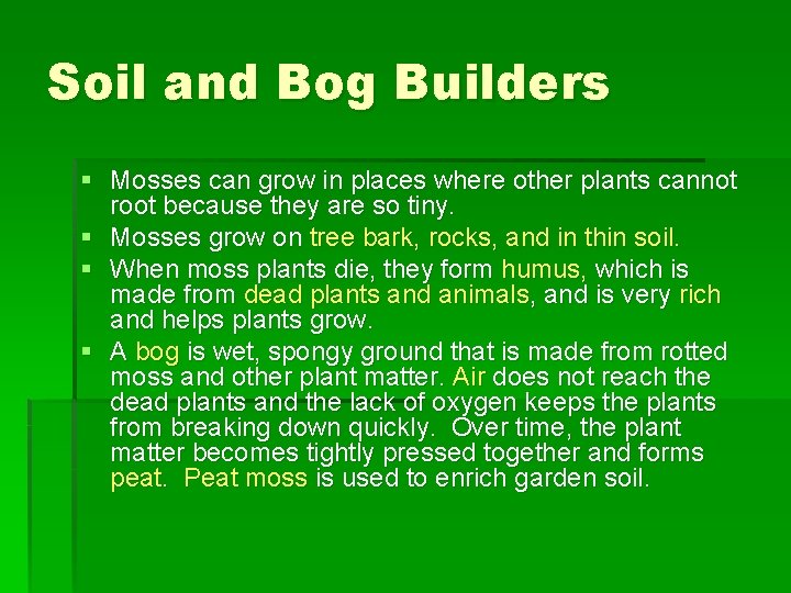 Soil and Bog Builders § Mosses can grow in places where other plants cannot