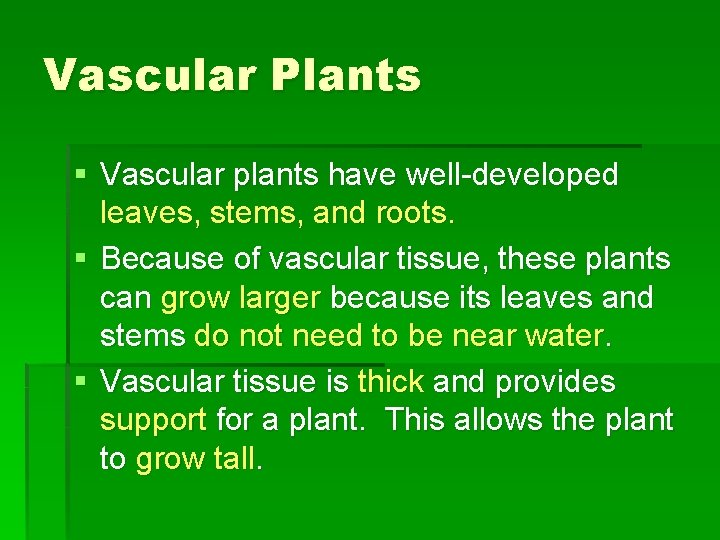 Vascular Plants § Vascular plants have well-developed leaves, stems, and roots. § Because of