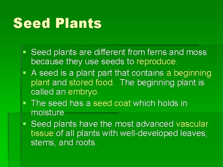 Seed Plants § Seed plants are different from ferns and moss because they use