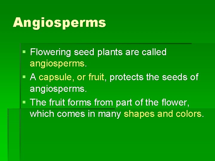 Angiosperms § Flowering seed plants are called angiosperms. § A capsule, or fruit, protects