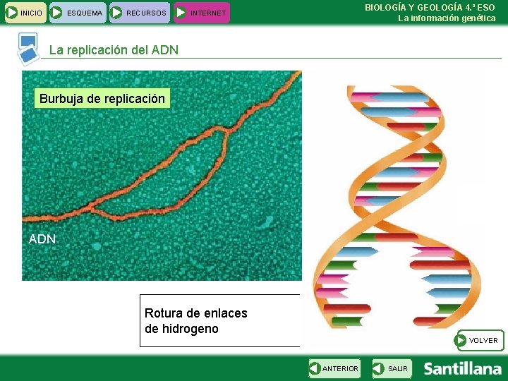 INICIO ESQUEMA RECURSOS BIOLOGÍA Y GEOLOGÍA 4. º ESO La información genética INTERNET La