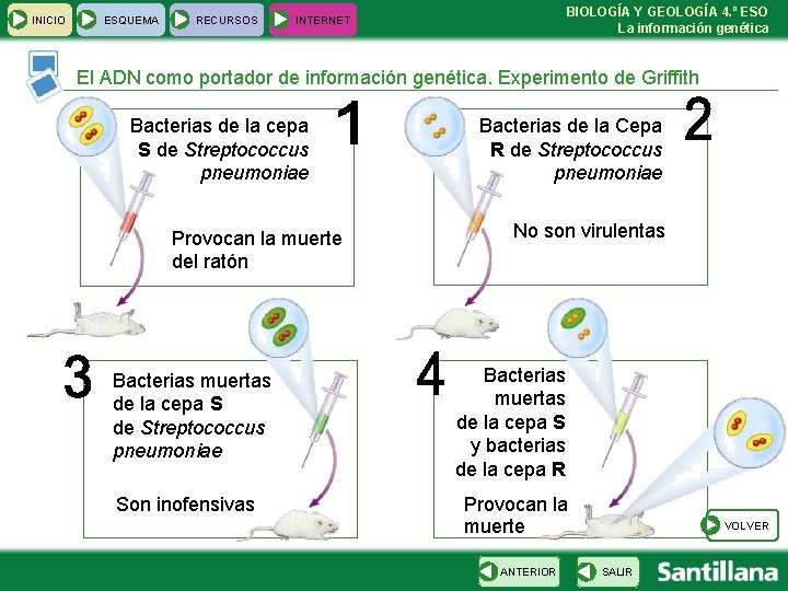 INICIO ESQUEMA RECURSOS BIOLOGÍA Y GEOLOGÍA 4. º ESO La información genética INTERNET El