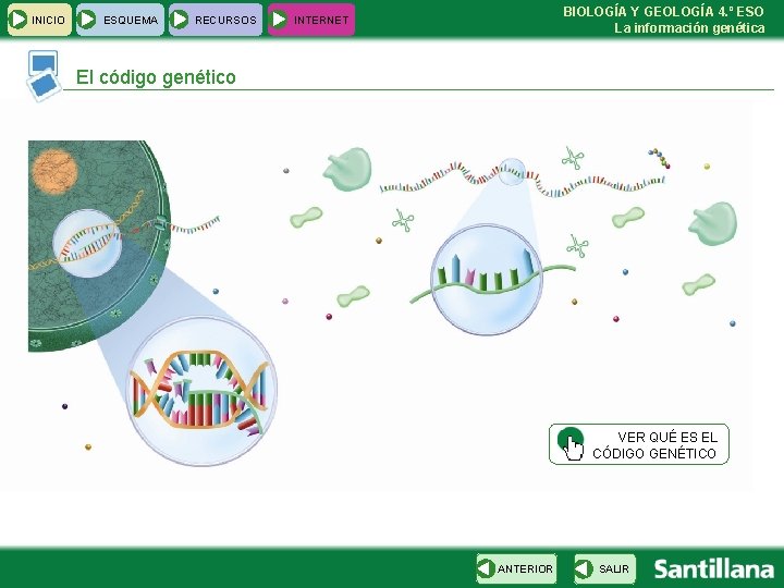 INICIO ESQUEMA RECURSOS BIOLOGÍA Y GEOLOGÍA 4. º ESO La información genética INTERNET El