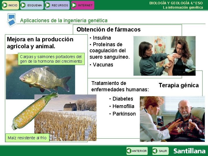 INICIO ESQUEMA RECURSOS BIOLOGÍA Y GEOLOGÍA 4. º ESO La información genética INTERNET Aplicaciones