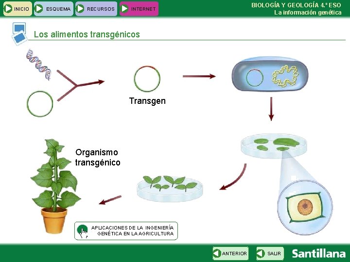 INICIO ESQUEMA RECURSOS BIOLOGÍA Y GEOLOGÍA 4. º ESO La información genética INTERNET Los