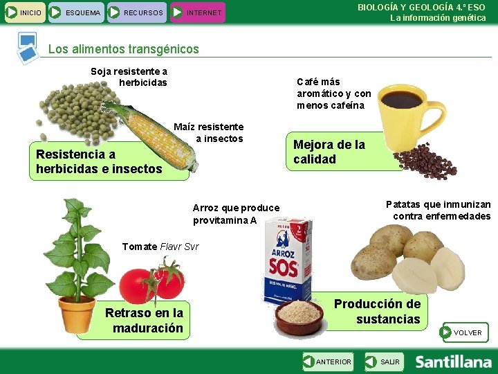 INICIO ESQUEMA RECURSOS BIOLOGÍA Y GEOLOGÍA 4. º ESO La información genética INTERNET Los