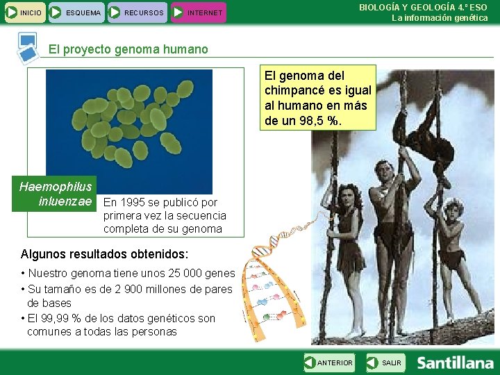 INICIO ESQUEMA RECURSOS BIOLOGÍA Y GEOLOGÍA 4. º ESO La información genética INTERNET El