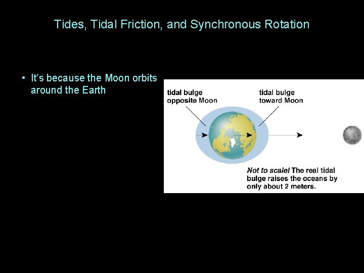 Tides, Tidal Friction, and Synchronous Rotation • It’s because the Moon orbits around the