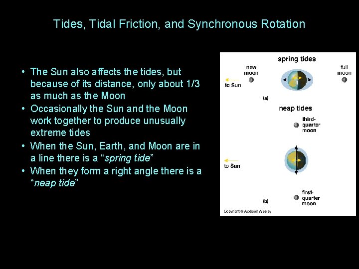 Tides, Tidal Friction, and Synchronous Rotation • The Sun also affects the tides, but