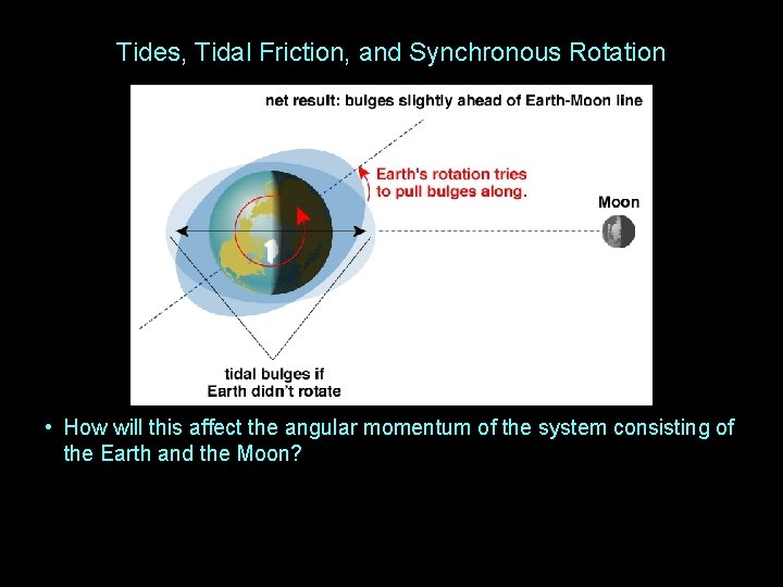 Tides, Tidal Friction, and Synchronous Rotation • How will this affect the angular momentum