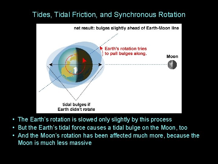 Tides, Tidal Friction, and Synchronous Rotation • The Earth’s rotation is slowed only slightly