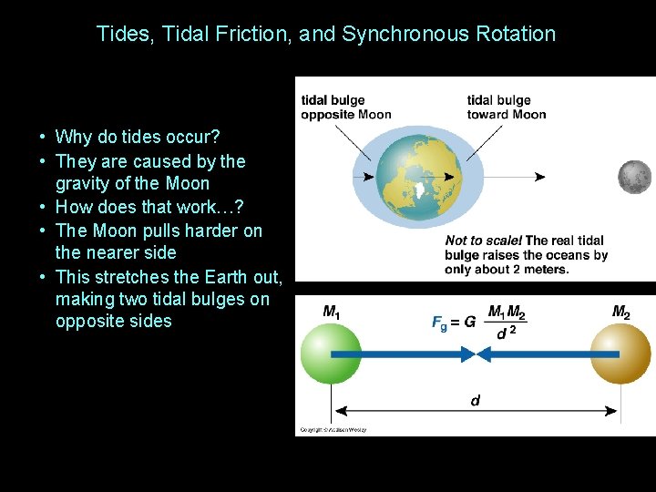 Tides, Tidal Friction, and Synchronous Rotation • Why do tides occur? • They are