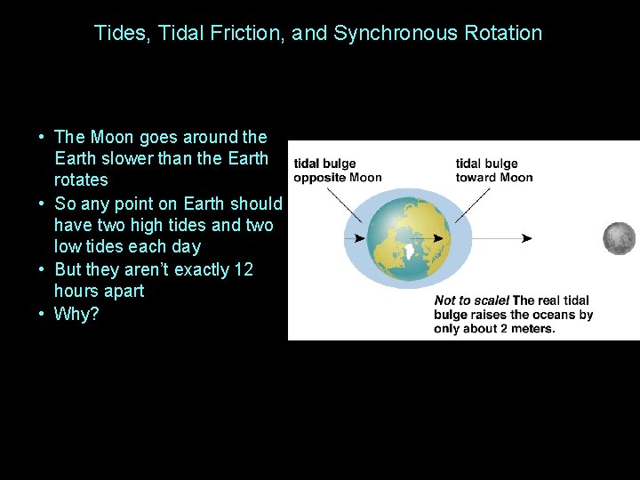 Tides, Tidal Friction, and Synchronous Rotation • The Moon goes around the Earth slower