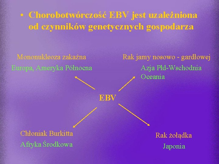  • Chorobotwórczość EBV jest uzależniona od czynników genetycznych gospodarza Mononukleoza zakaźna Europa, Ameryka