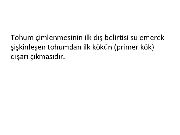 Tohum çimlenmesinin ilk dış belirtisi su emerek şişkinleşen tohumdan ilk kökün (primer kök) dışarı