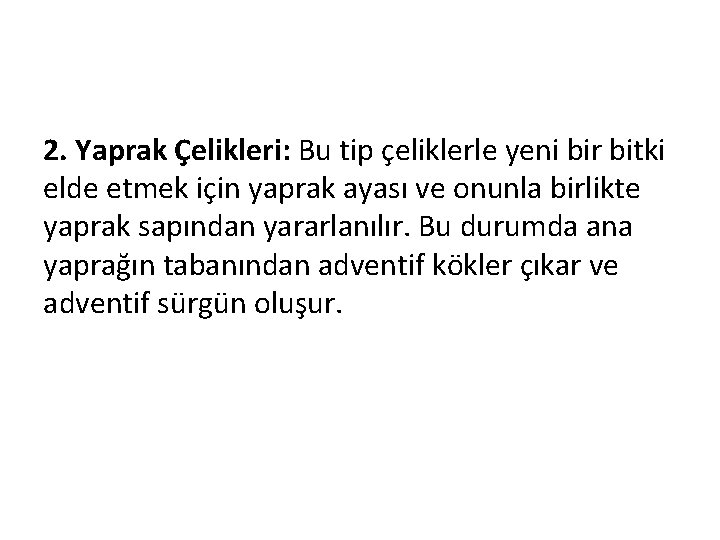 2. Yaprak Çelikleri: Bu tip çeliklerle yeni bir bitki elde etmek için yaprak ayası