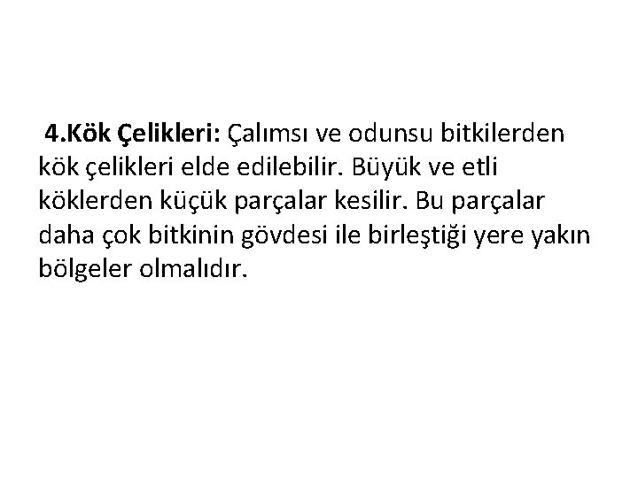 4. Kök Çelikleri: Çalımsı ve odunsu bitkilerden kök çelikleri elde edilebilir. Büyük ve etli