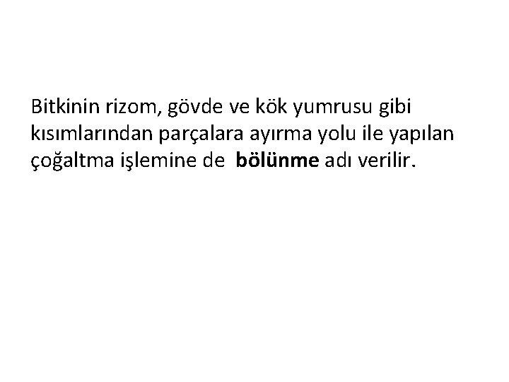 Bitkinin rizom, gövde ve kök yumrusu gibi kısımlarından parçalara ayırma yolu ile yapılan çoğaltma