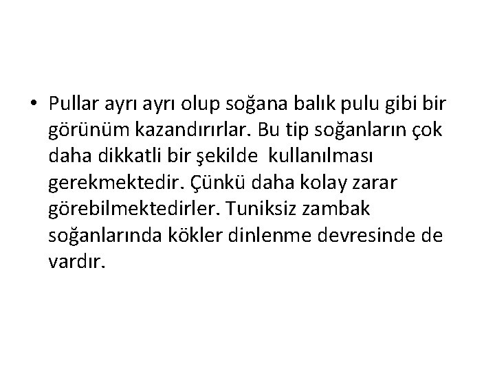  • Pullar ayrı olup soğana balık pulu gibi bir görünüm kazandırırlar. Bu tip