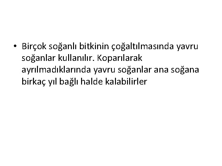  • Birçok soğanlı bitkinin çoğaltılmasında yavru soğanlar kullanılır. Koparılarak ayrılmadıklarında yavru soğanlar ana