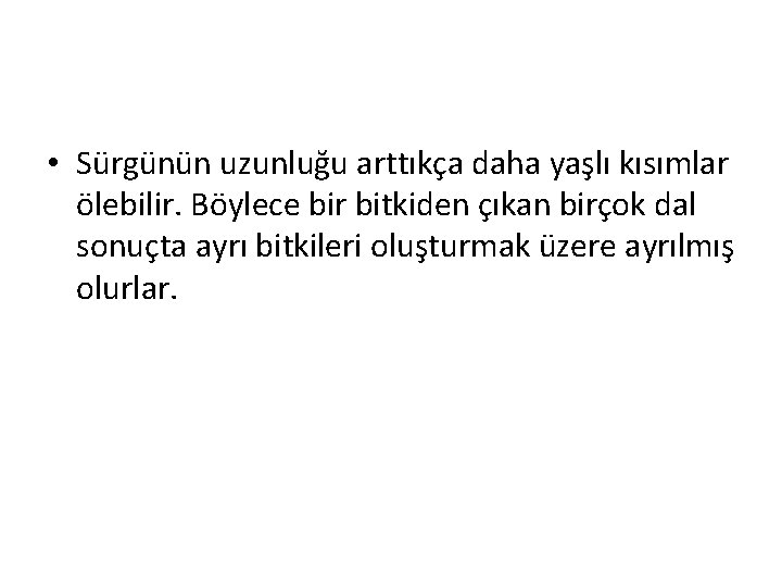  • Sürgünün uzunluğu arttıkça daha yaşlı kısımlar ölebilir. Böylece bir bitkiden çıkan birçok