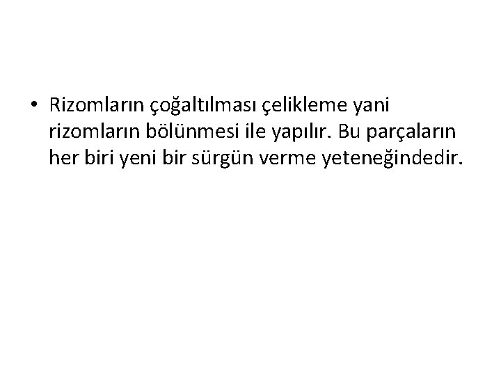  • Rizomların çoğaltılması çelikleme yani rizomların bölünmesi ile yapılır. Bu parçaların her biri