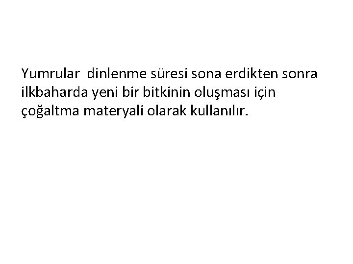 Yumrular dinlenme süresi sona erdikten sonra ilkbaharda yeni bir bitkinin oluşması için çoğaltma materyali