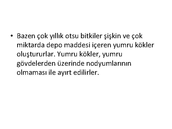  • Bazen çok yıllık otsu bitkiler şişkin ve çok miktarda depo maddesi içeren