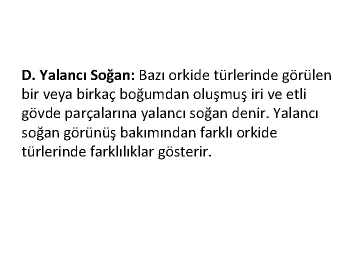 D. Yalancı Soğan: Bazı orkide türlerinde görülen bir veya birkaç boğumdan oluşmuş iri ve