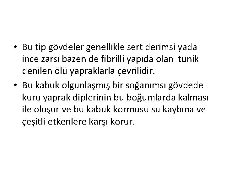  • Bu tip gövdeler genellikle sert derimsi yada ince zarsı bazen de fibrilli