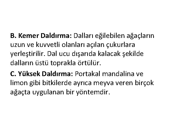 B. Kemer Daldırma: Dalları eğilebilen ağaçların uzun ve kuvvetli olanları açılan çukurlara yerleştirilir. Dal