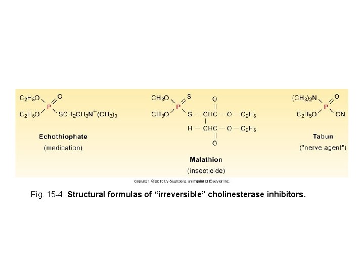 Fig. 15 -4. Structural formulas of “irreversible” cholinesterase inhibitors. 