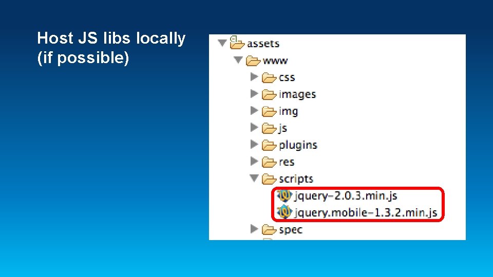 Host JS libs locally (if possible) 