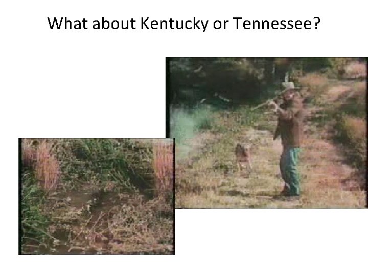 What about Kentucky or Tennessee? 