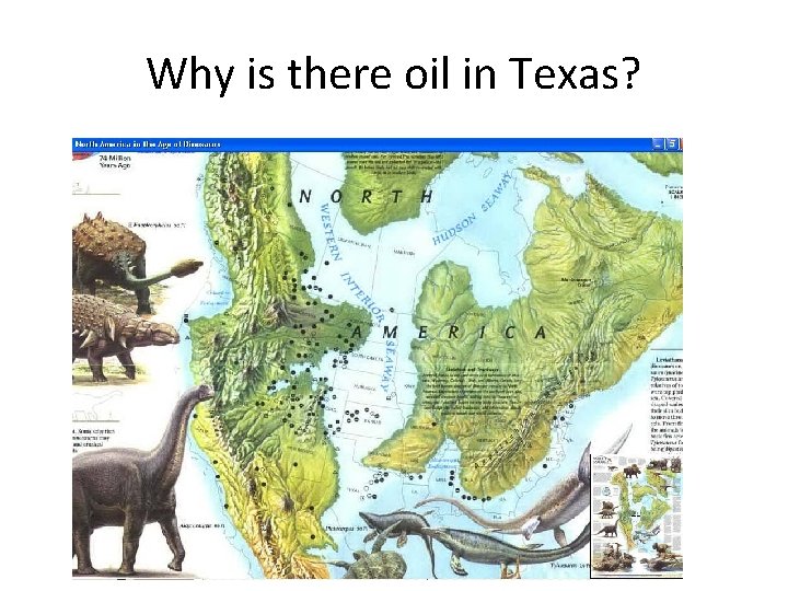 Why is there oil in Texas? 