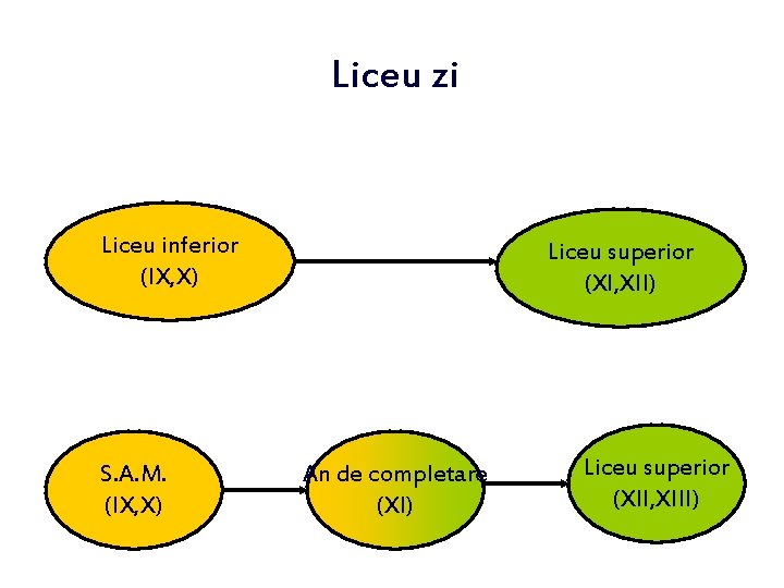 Liceu zi Liceu inferior (IX, X) S. A. M. (IX, X) Liceu superior (XI,