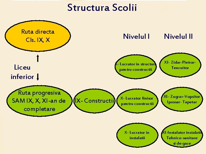 Structura Scolii Ruta directa Cls. IX, X Nivelul I X- Lucrator in structuri pentru