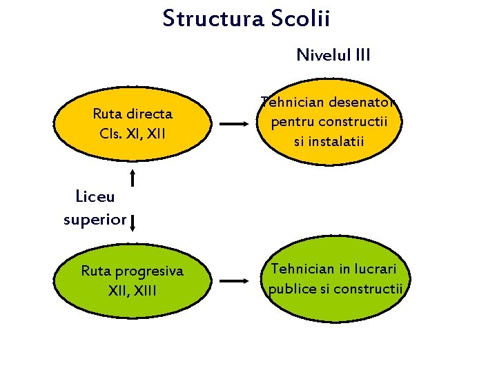 Structura Scolii Nivelul III Ruta directa Cls. XI, XII Tehnician desenator pentru constructii si