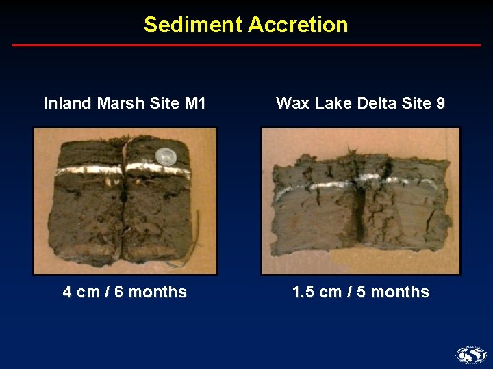 Sediment Accretion Inland Marsh Site M 1 Wax Lake Delta Site 9 4 cm